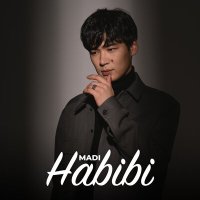 Постер песни Madi - Habibi