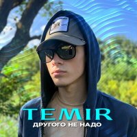 Постер песни TEMIR - Другого не надо