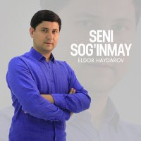 Постер песни Eldor Haydarov - Seni sog'inmay