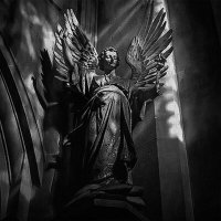 Постер песни Dark Angel Church - Angel