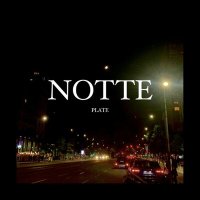 Постер песни Plate - NOTTE