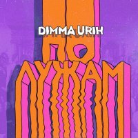 Постер песни Dimma Urih - По лужам