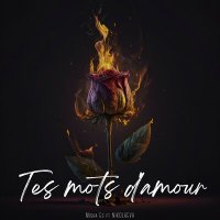 Постер песни Миша Es, NIKOLAEVA - Tes mots d'amour