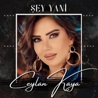 Постер песни Ceylan Kaya - Şey Yani