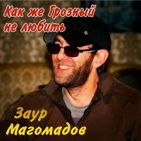Постер песни Заур Магомадов - Ты вини себя
