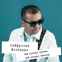 Постер песни Сейфуллин Жолбарыс - Сенсің (Acoustic Version)