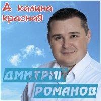 Постер песни Дмитрий Романов - А калина красная (Benvinls Retro Mix)