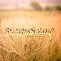 Постер песни С-КОРПУС - Вольный Донъ