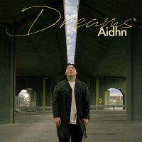 Постер песни Aidhn - Dreams