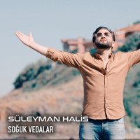 Постер песни Süleyman Halis - Soğuk Vedalar