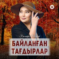 Постер песни Эльмира Шонай - Байланған тағдырлар