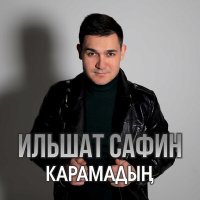 Постер песни Ильшат Сафин - Карамадын