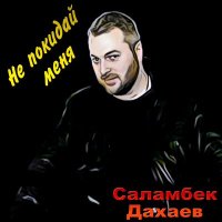 Постер песни Саламбек Дахаев - Как время летит