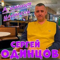 Постер песни Сергей Одинцов - А птицы улетели