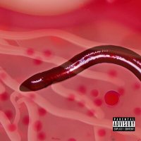 Постер песни Кровавый тостер - A Worm Got Into The Circulatory System
