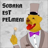 Постер песни SOBAKA EST PELMENI - Гардеробня киборга