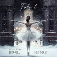 Постер песни DJ Project, Holy Molly - Fulgul