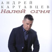 Постер песни Андрей Картавцев - Налей огня