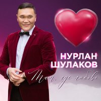 Постер песни Нурлан Шулаков - Такая как ты