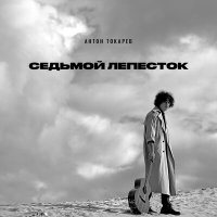 Постер песни Антон Токарев - Седьмой лепесток (ELEKSO Remix)