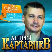 Постер песни Андрей Картавцев - Она мне нравится