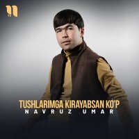 Постер песни Navruz Umar - Tushlarimga kirayabsan ko'p