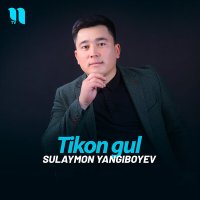 Постер песни Сулаймон Янгибоев - Tikon gul