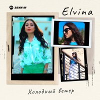 Постер песни Elvina - Холодный ветер