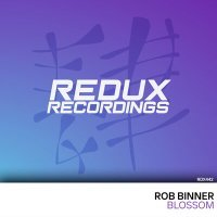 Постер песни Rob Binner - Blossom