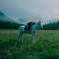 Постер песни Дэкой - Аленький цветочек