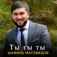 Постер песни Шамиль Магомедов - Ты ты ты