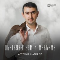 Постер песни Астемир Шагиров - Нэ дахэ