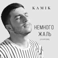 Постер песни Kamik - Немного жаль (Cover)
