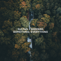 Постер песни Sultan & Shepard - Forever, Now