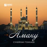Постер песни Сулейман Токкаев - Аману