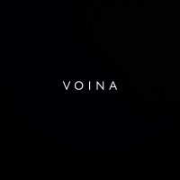 Постер песни VOINA - Выстрел