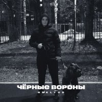 Постер песни NEKLYUD - Чёрные вороны