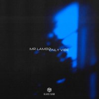 Постер песни Mr Lambo - Only Vibe
