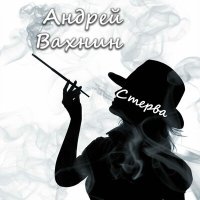 Постер песни Андрей Вахнин - Стерва