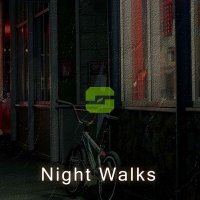Постер песни BLESKSOUND - Night Walks