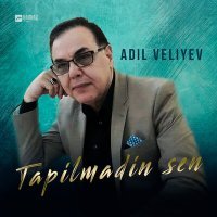 Постер песни Adil Veliyev - Tapilmadin sen