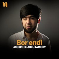 Постер песни Asrorbek Abduxamidov - Bor endi