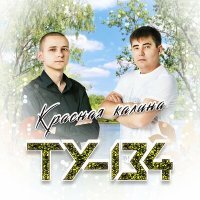 Постер песни ТУ-134 - Новогодняя любовь