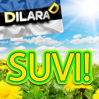 Постер песни Dilara D - Suvi!