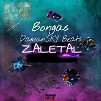 Постер песни Bongas, DamanSKY Beats - ZALETAL