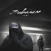 Постер песни Tami - Завалила