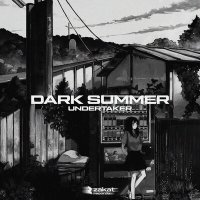Постер песни undertaker - dark summer