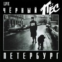 Постер песни ДДТ - Ленинград