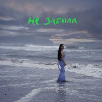 Постер песни Ольга Серябкина - Не забыла