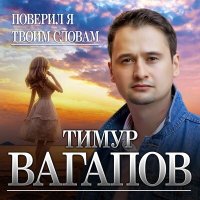 Постер песни Тимур Вагапов - Поверил я твоим словам